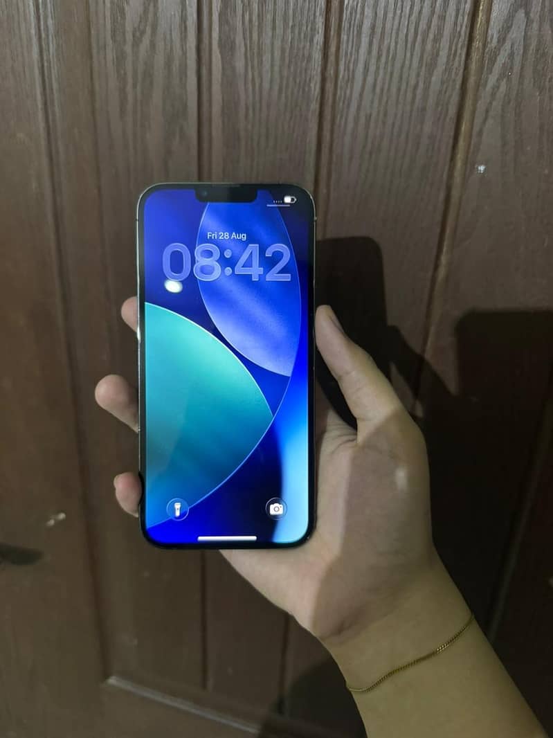 Apple iPhone 13 Pro Max 2