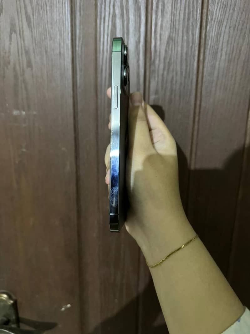 Apple iPhone 13 Pro Max 3