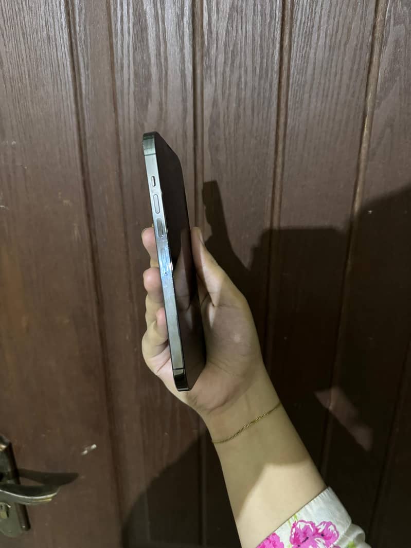 Apple iPhone 13 Pro Max 6