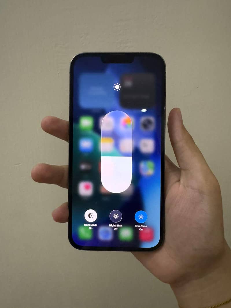 Apple iPhone 13 Pro Max 9