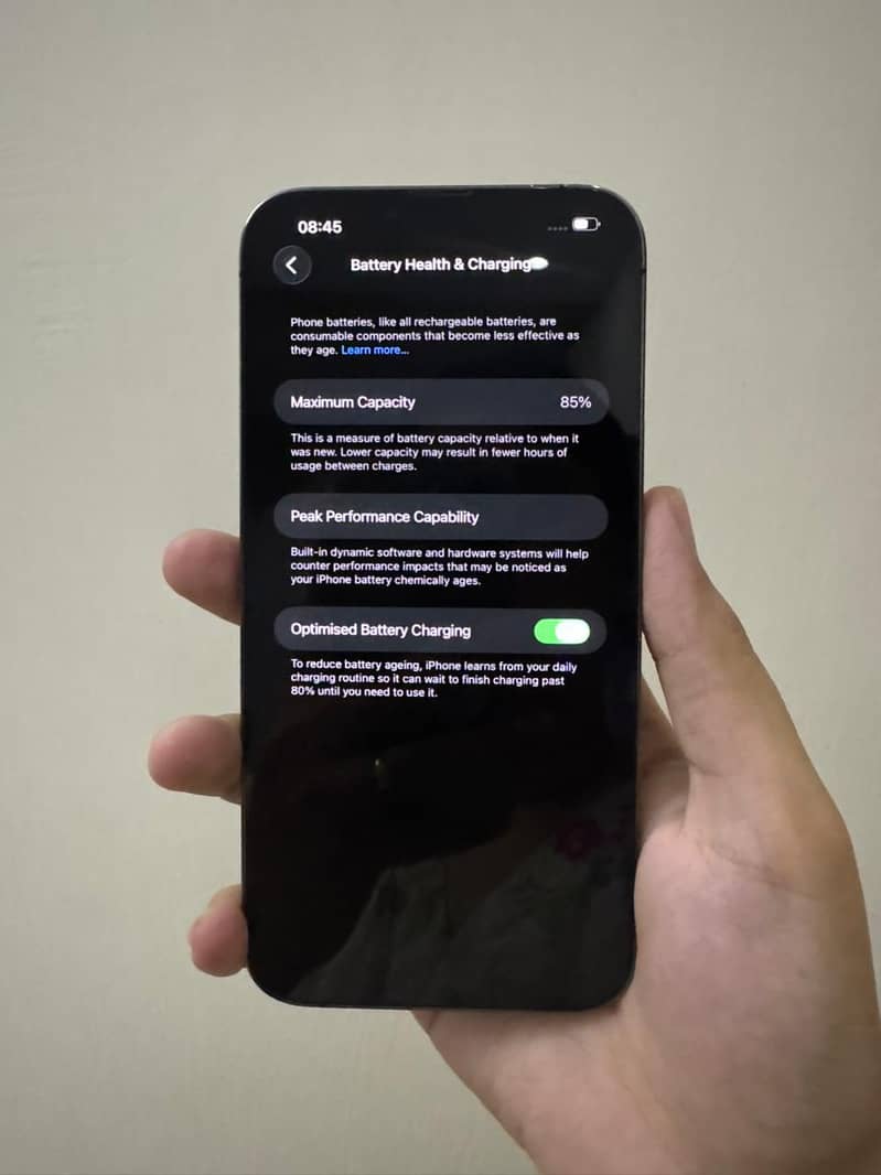 Apple iPhone 13 Pro Max 10