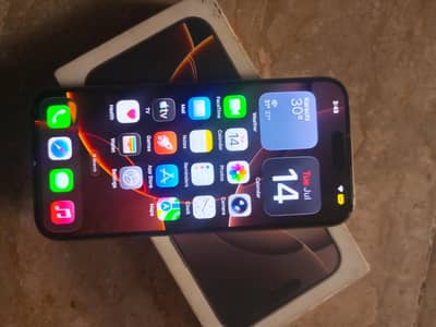 Apple iPhone 16 Pro Max