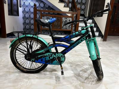 By Cycle