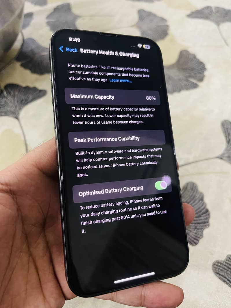 Apple iPhone 13 Pro Max 1