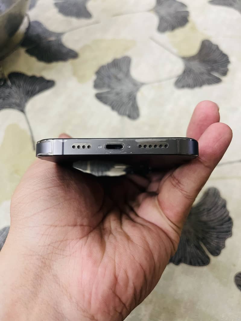 Apple iPhone 13 Pro Max 2