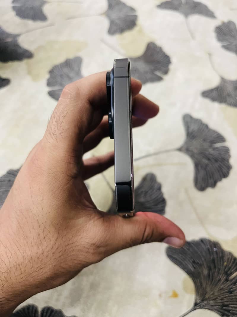 Apple iPhone 13 Pro Max 3