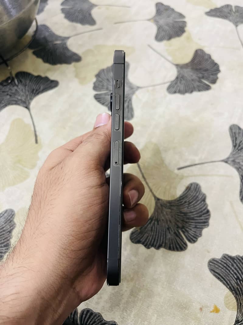 Apple iPhone 13 Pro Max 4