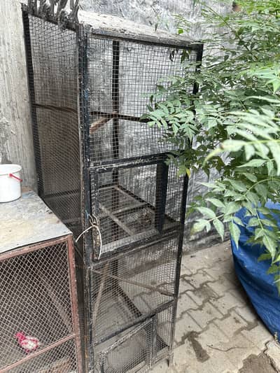 Iron cage