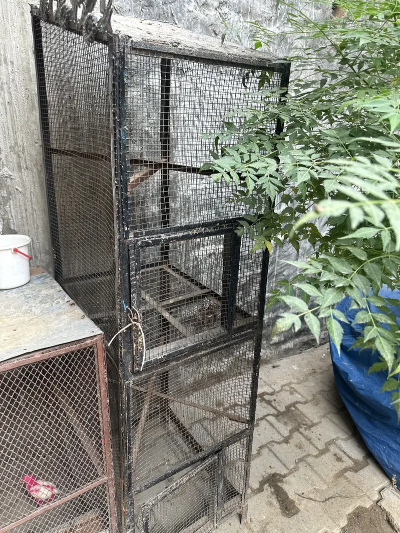 Iron cage