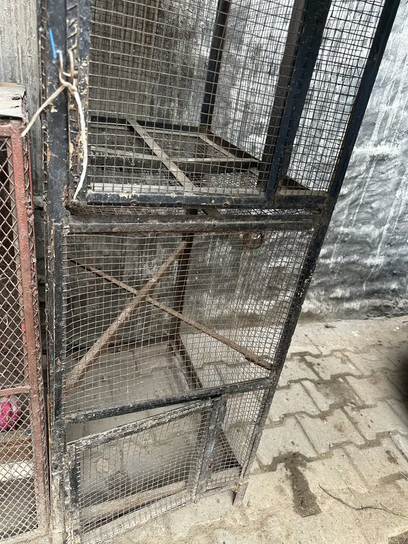Iron cage — photo 3