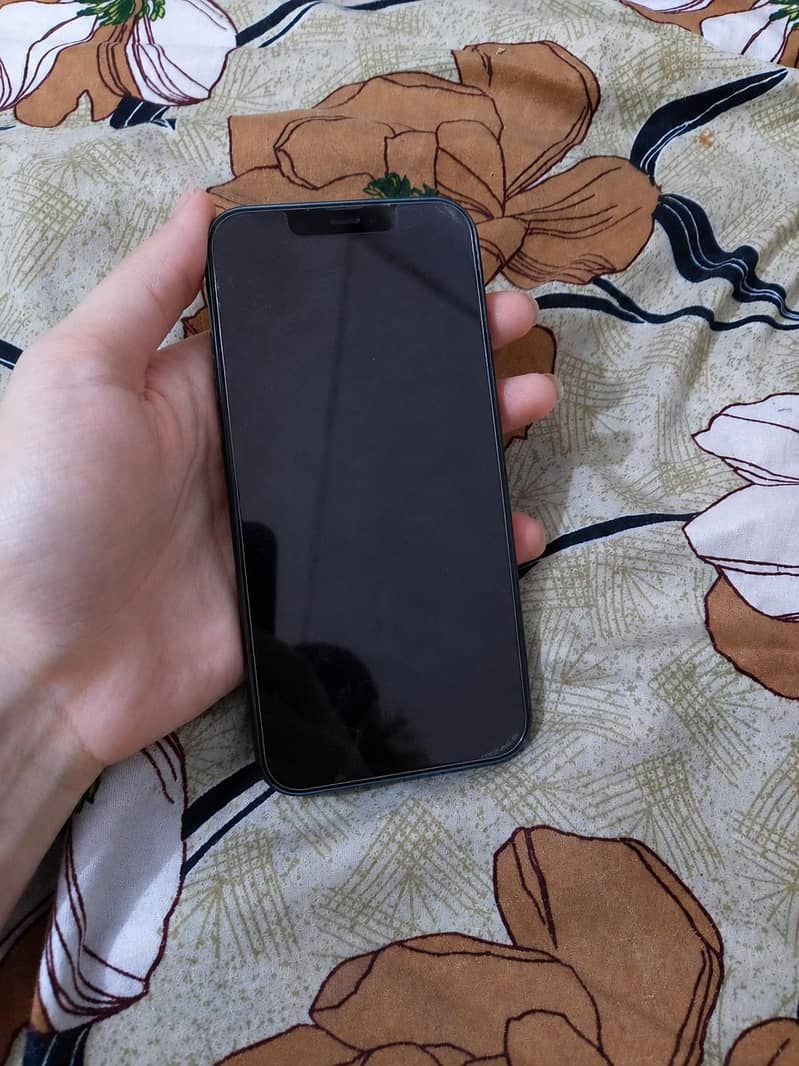 Apple iPhone 13 1