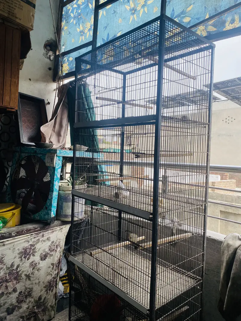 Bird cage 2.5x1.5 4 portions cage