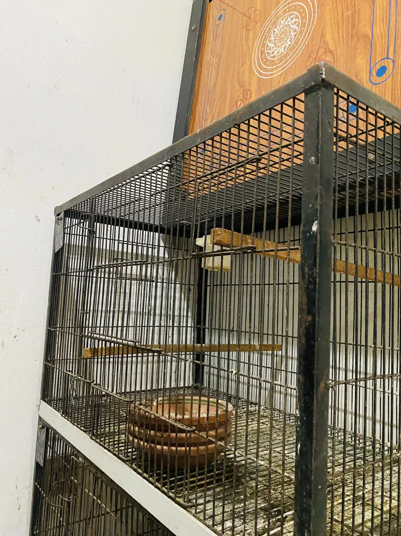 Bird cage 2.5x1.5 4 portions cage — photo 2