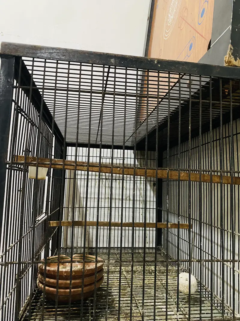 Bird cage 2.5x1.5 4 portions cage — photo 3