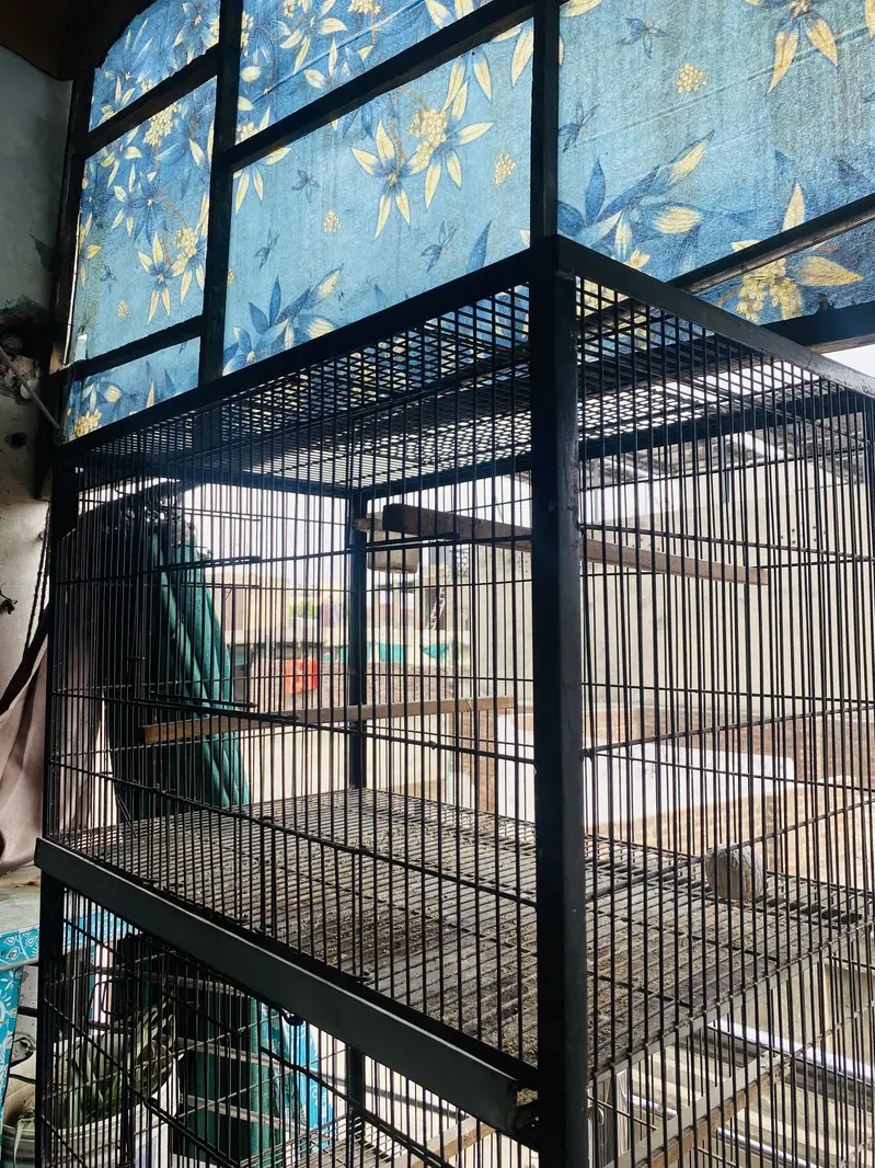 Bird cage 2.5x1.5 4 portions cage — photo 4