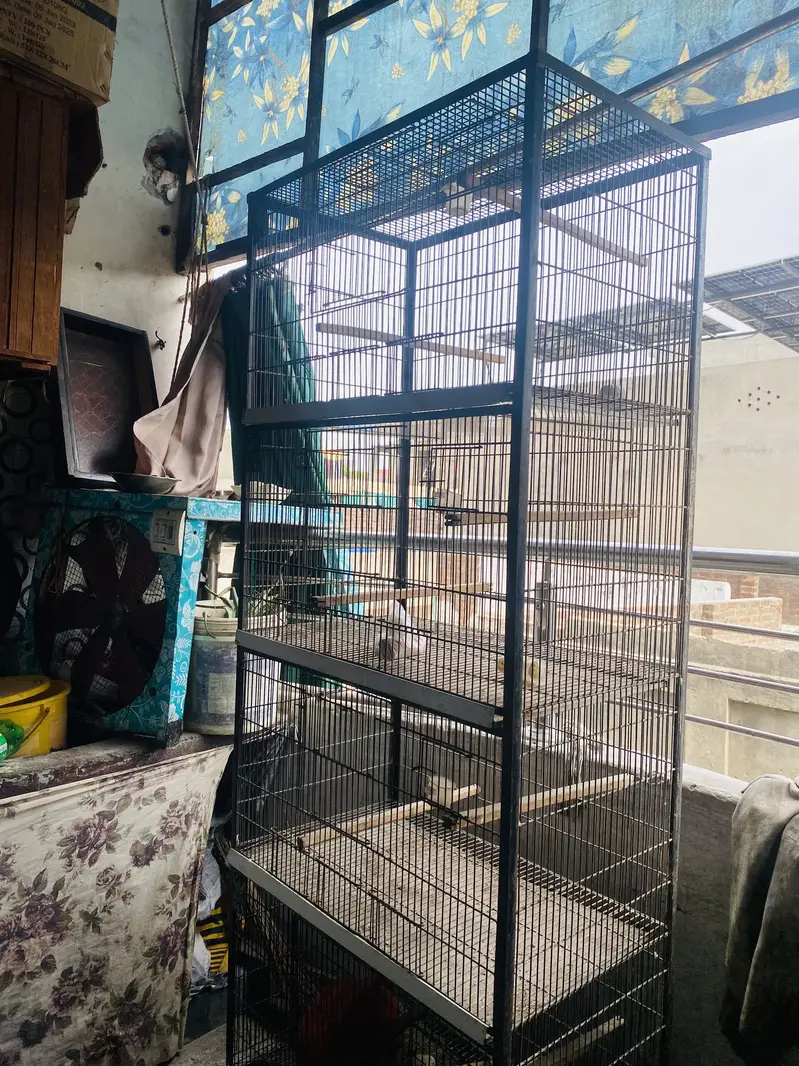 Bird cage 2.5x1.5 4 portions cage — photo 5