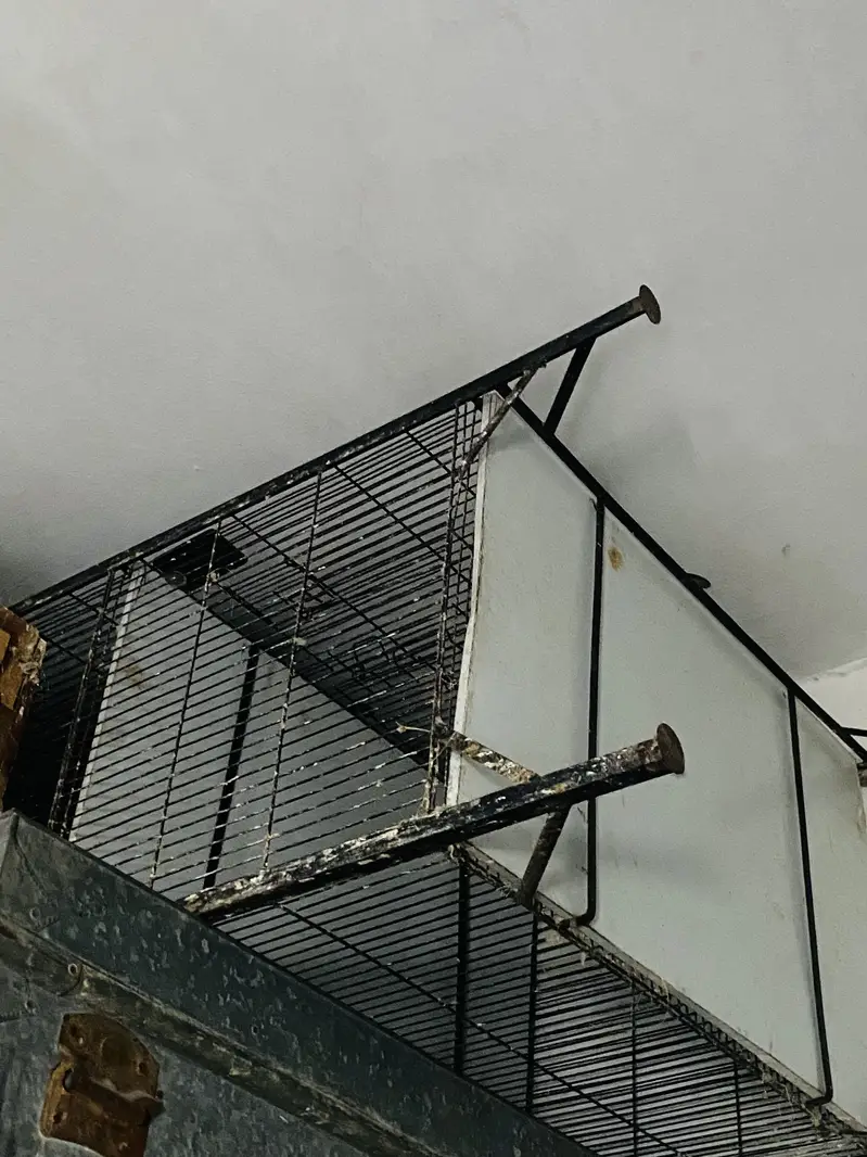 Bird cage 2.5x1.5 4 portions cage — photo 6