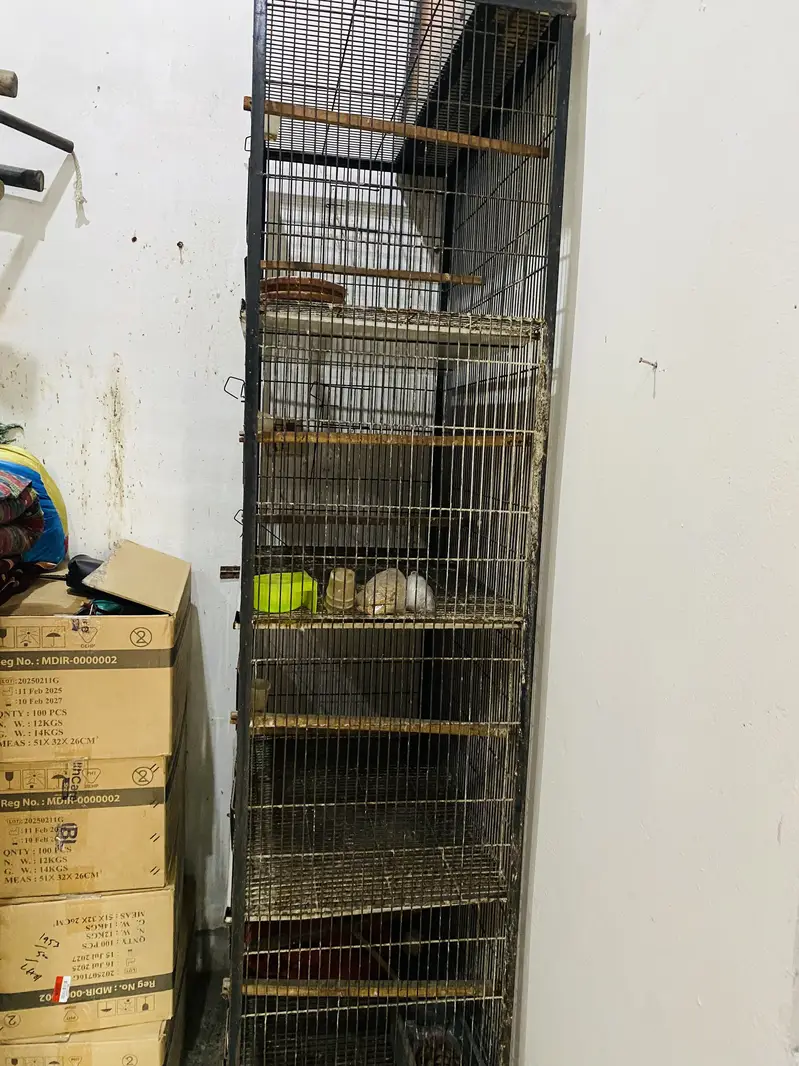 Bird cage 2.5x1.5 4 portions cage — photo 7