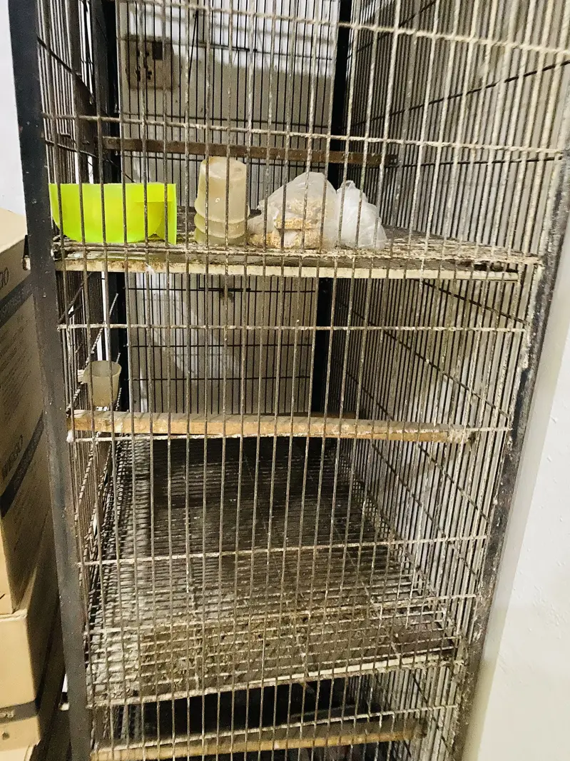 Bird cage 2.5x1.5 4 portions cage — photo 9