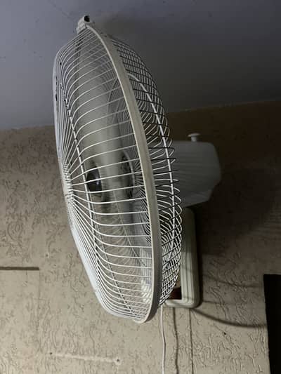 Wall Fan Royal Brand