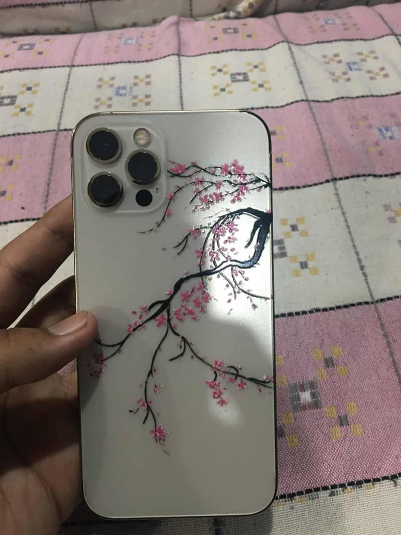 Apple iPhone 12 Pro 0