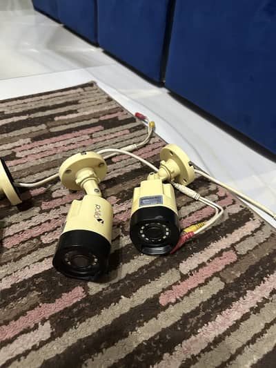 Pollo cctv cameras