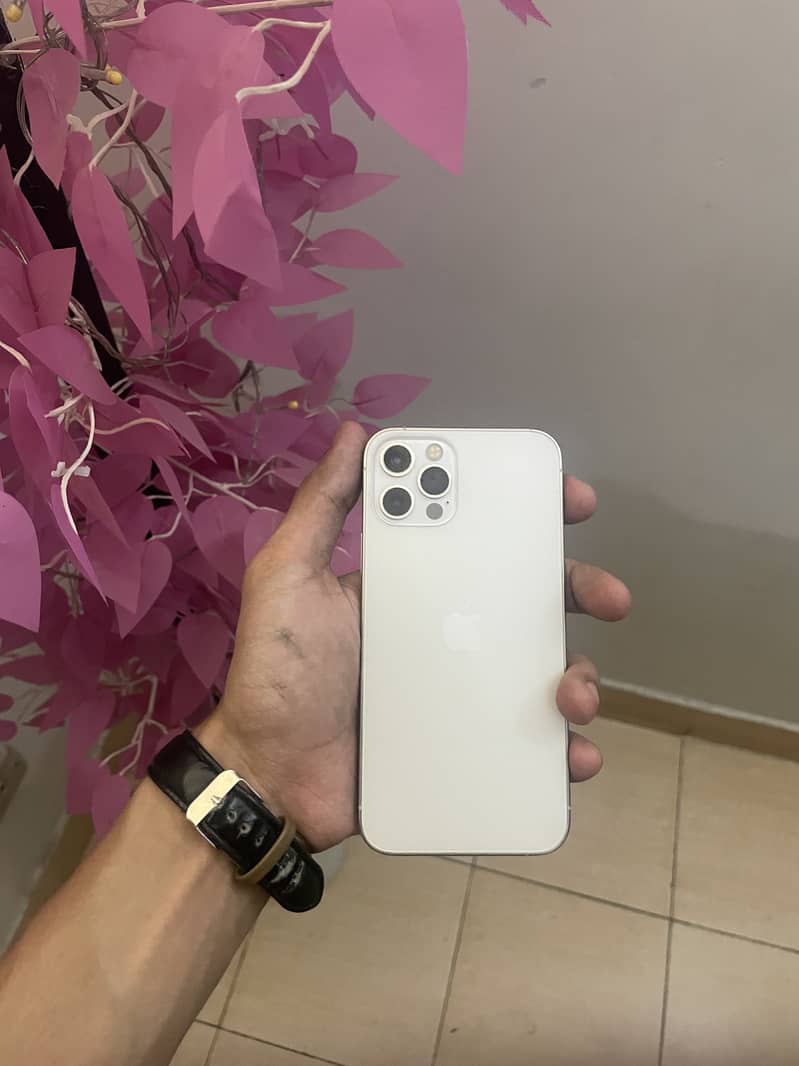 Apple iPhone 12 Pro 1