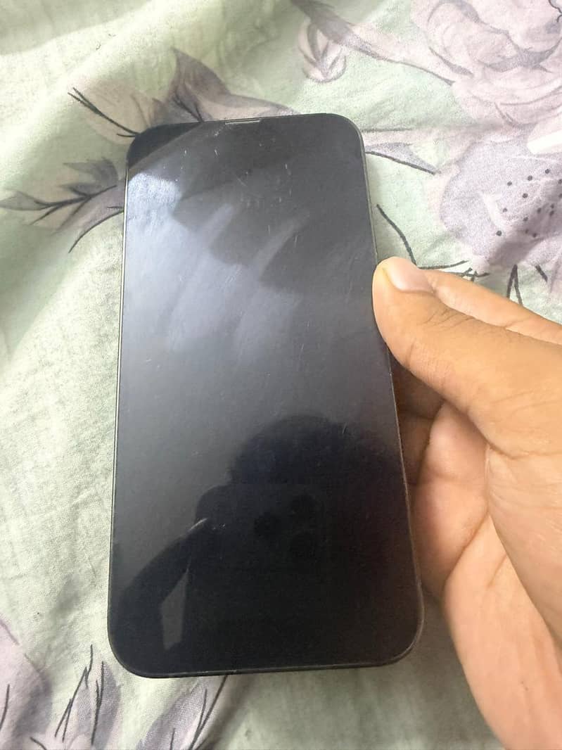 Apple iPhone 13 Pro Max 1