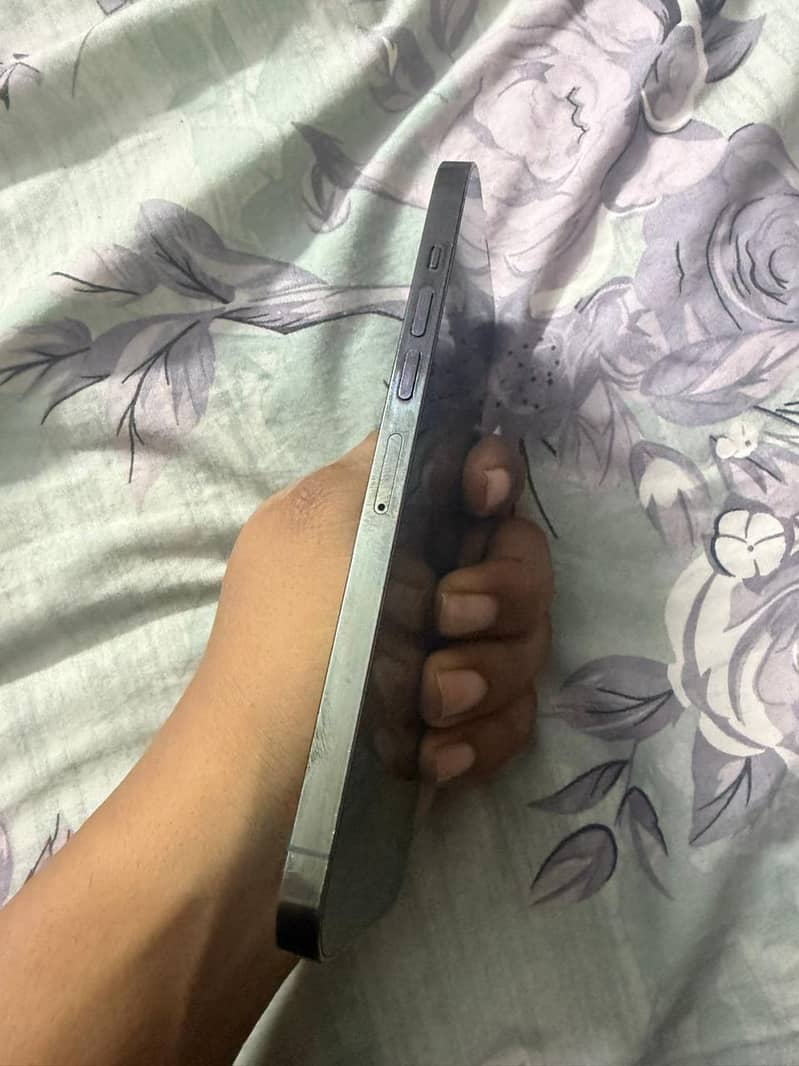Apple iPhone 13 Pro Max 2