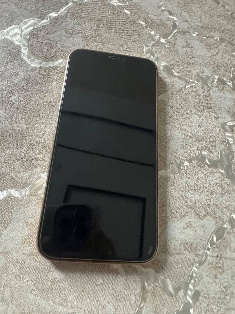 Apple iPhone 12 Pro 1