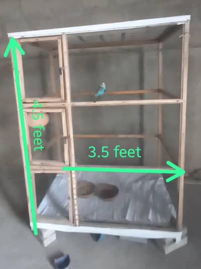 Wooden cage & 1 pair Australian with 1 chick