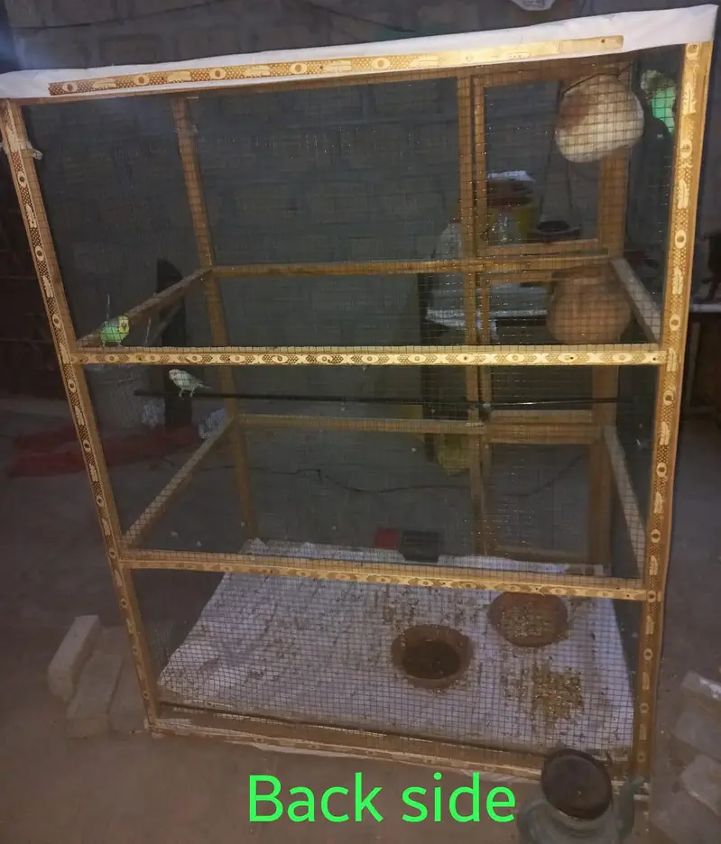 Wooden cage & 1 pair Australian with 1 chick — photo 4
