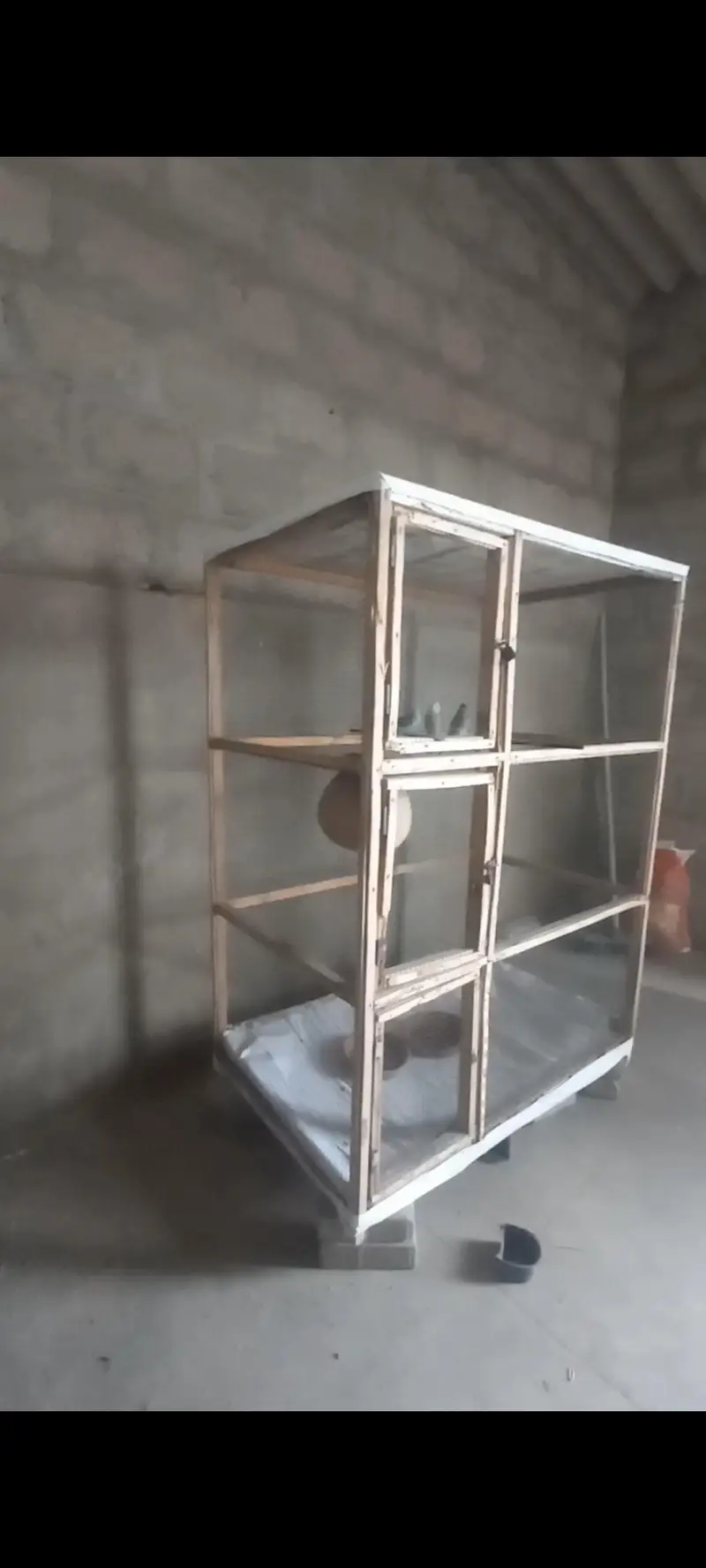 Wooden cage & 1 pair Australian with 1 chick — photo 5