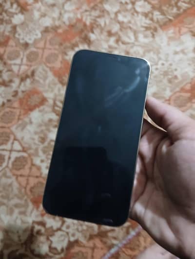 Apple iPhone 12 Pro Max