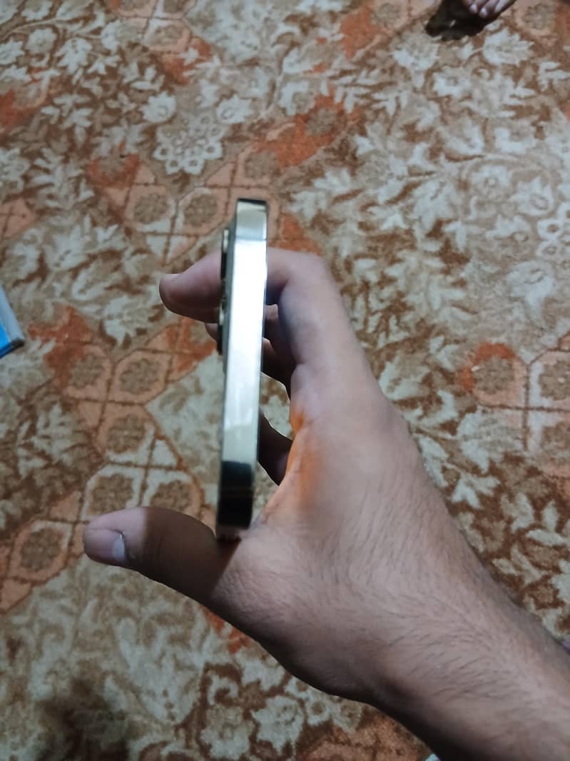 Apple iPhone 12 Pro Max 1