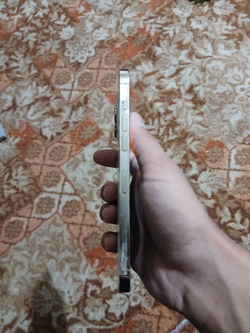 Apple iPhone 12 Pro Max 2