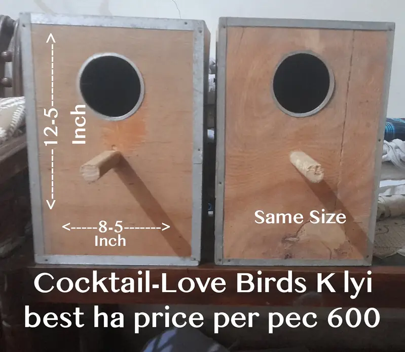 Birds Breeding Box for sale۔