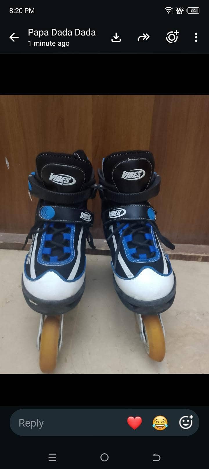 skating shoes 1