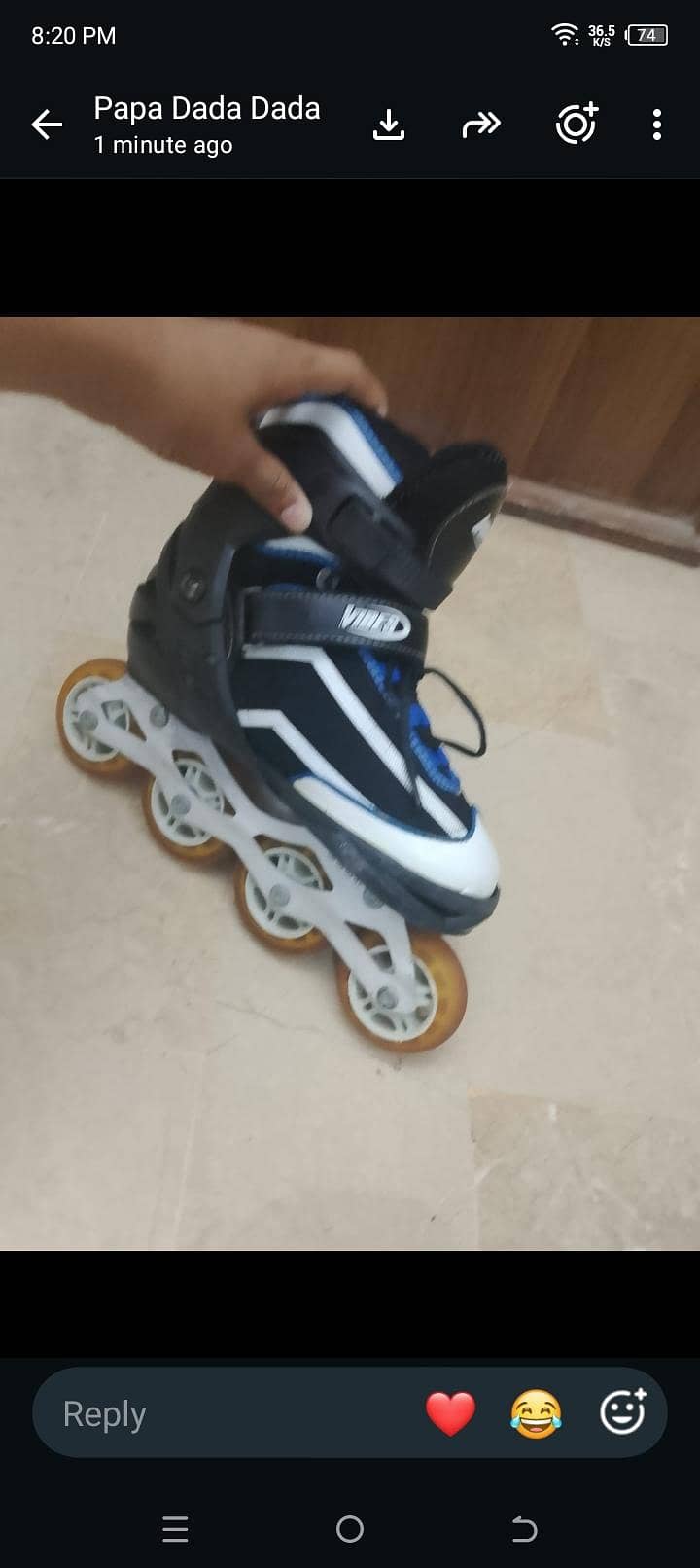 skating shoes 2