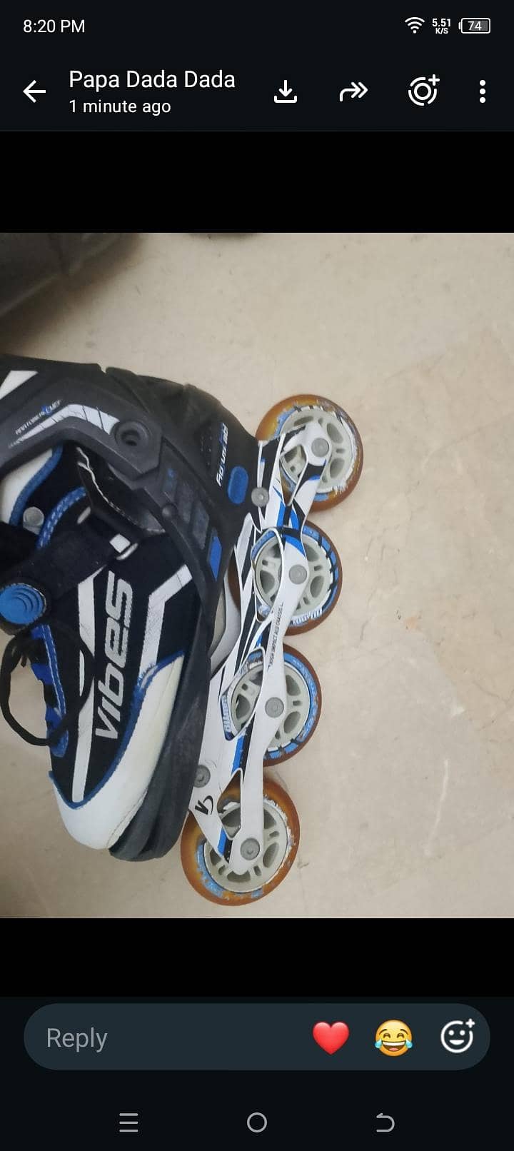 skating shoes 3
