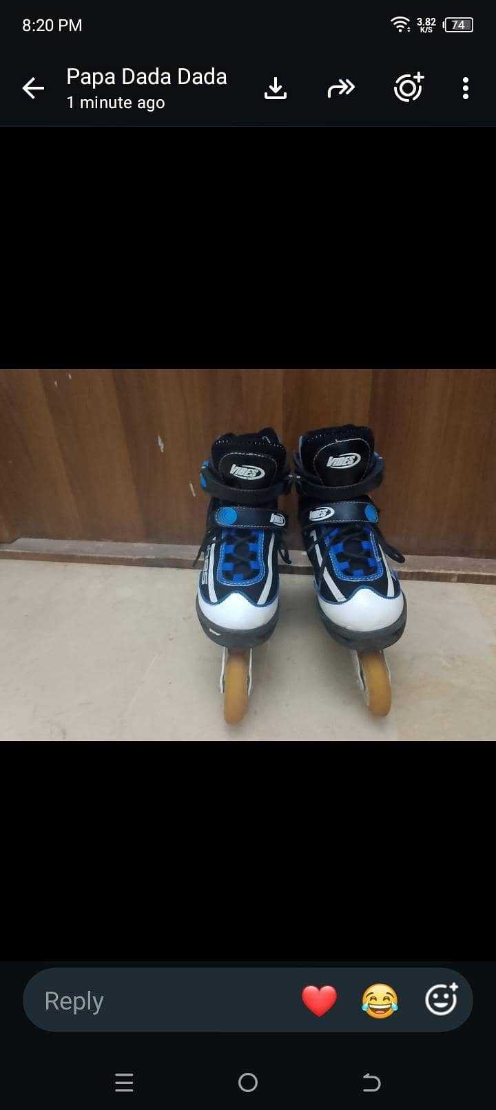 skating shoes 4