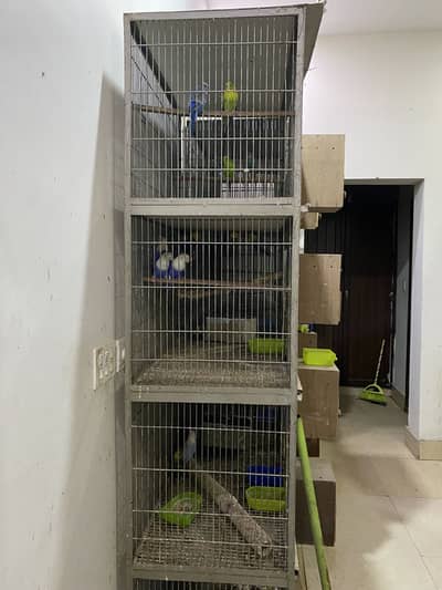 Birds cages for sale