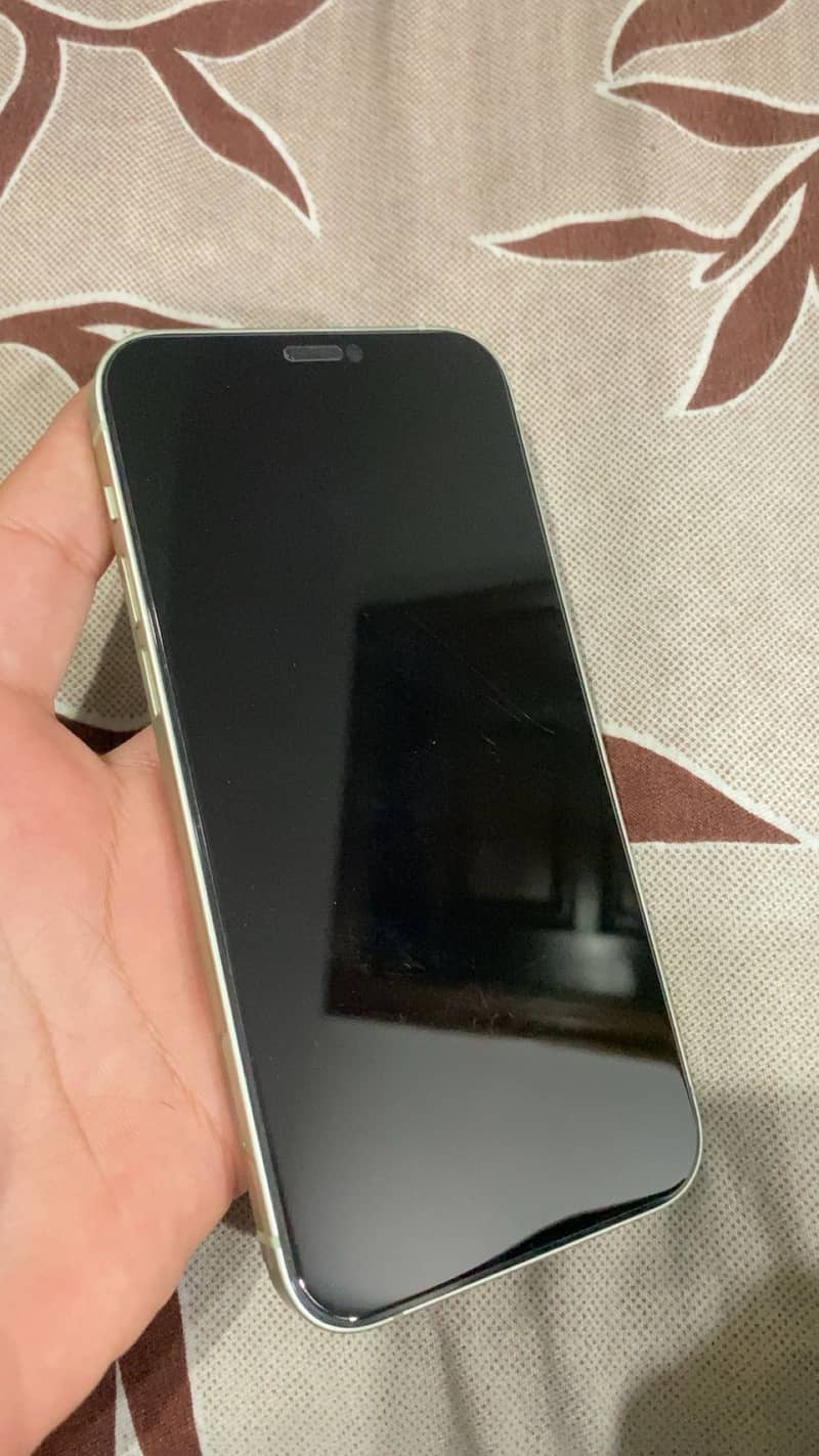 Apple iPhone 12 1