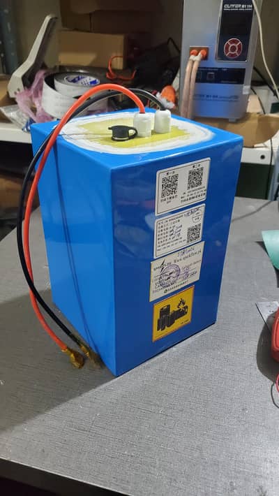 24v 36v 48v 60v 72v lithium battery lifepo4 battery