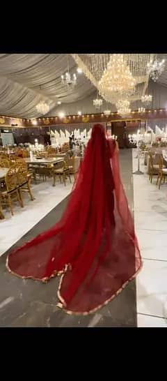 Veil dupata net febrick mehroon clr