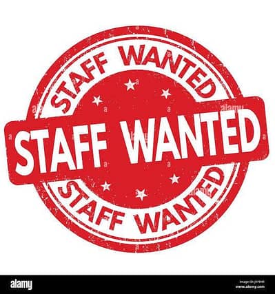 kitchen helper and waiters needed