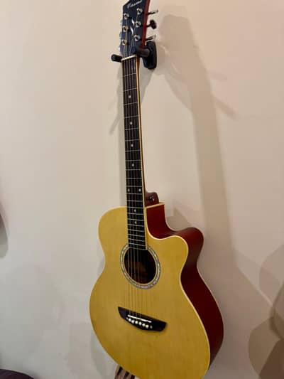 casme guitar 41"