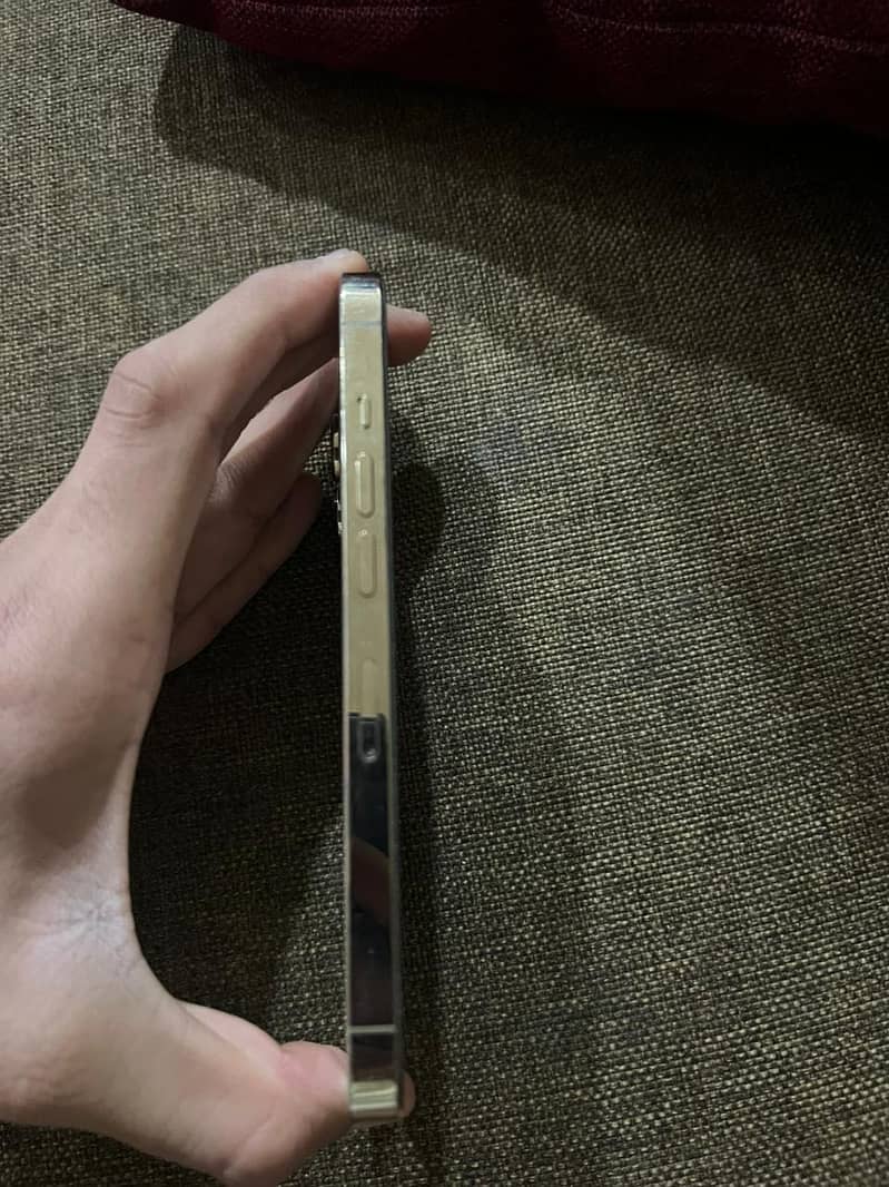 Apple iPhone 13 Pro 2