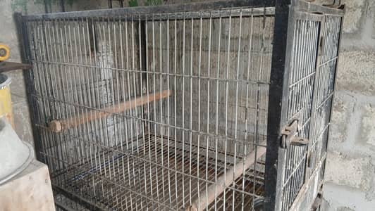 Raw parrot and Grey parrot  3 Cage  with L size Box