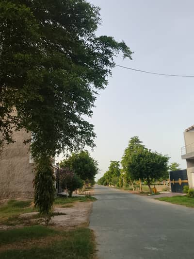 Commercial plot for sale